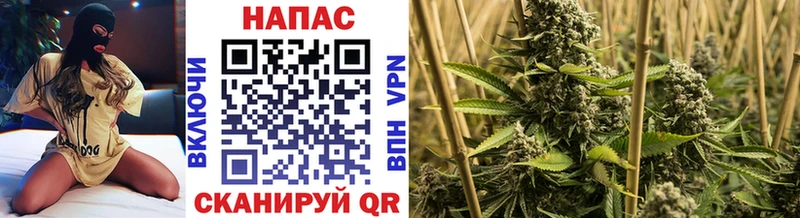 Виды наркоты Гаврилов-Ям ГЕРОИН hydra АМФ Мефедрон ГАШ КОКАИН