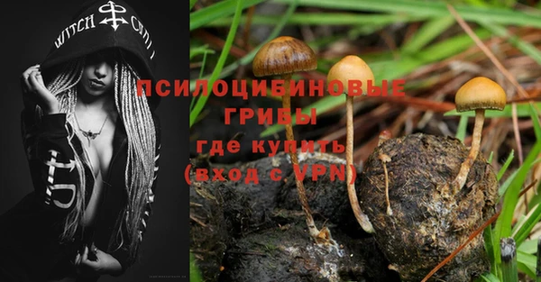 мдпв Балабаново