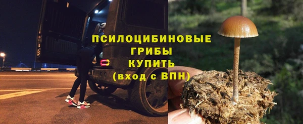 прущие грибы Баксан